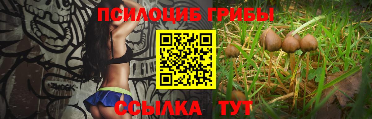 Галлюциногенные грибы MAGIC MUSHROOMS Шали