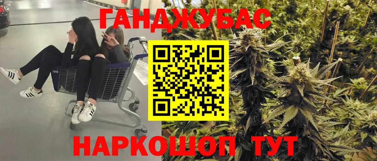 Шишки марихуана сатива Шали